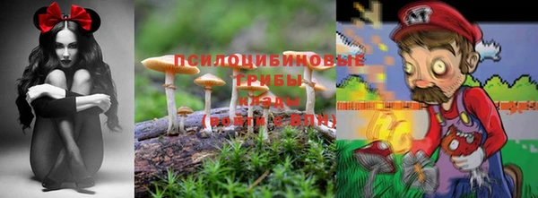 мдма Кукмор